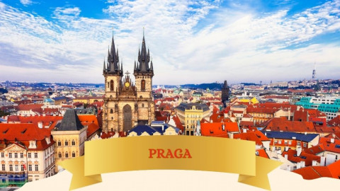 2026 rep. ceca praga 29 maggio 26 IN21
