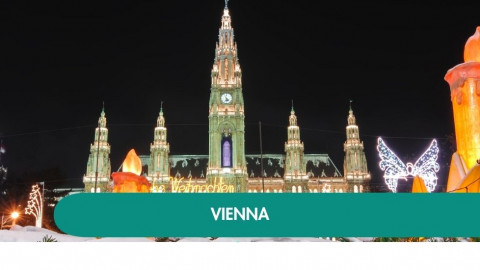2026 capodanno a vienna K IN21