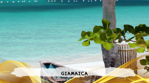 2026 giamaica 14 agosto T IN21