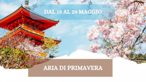 2026 W giappone aria di primavera 19 05 26 IN21