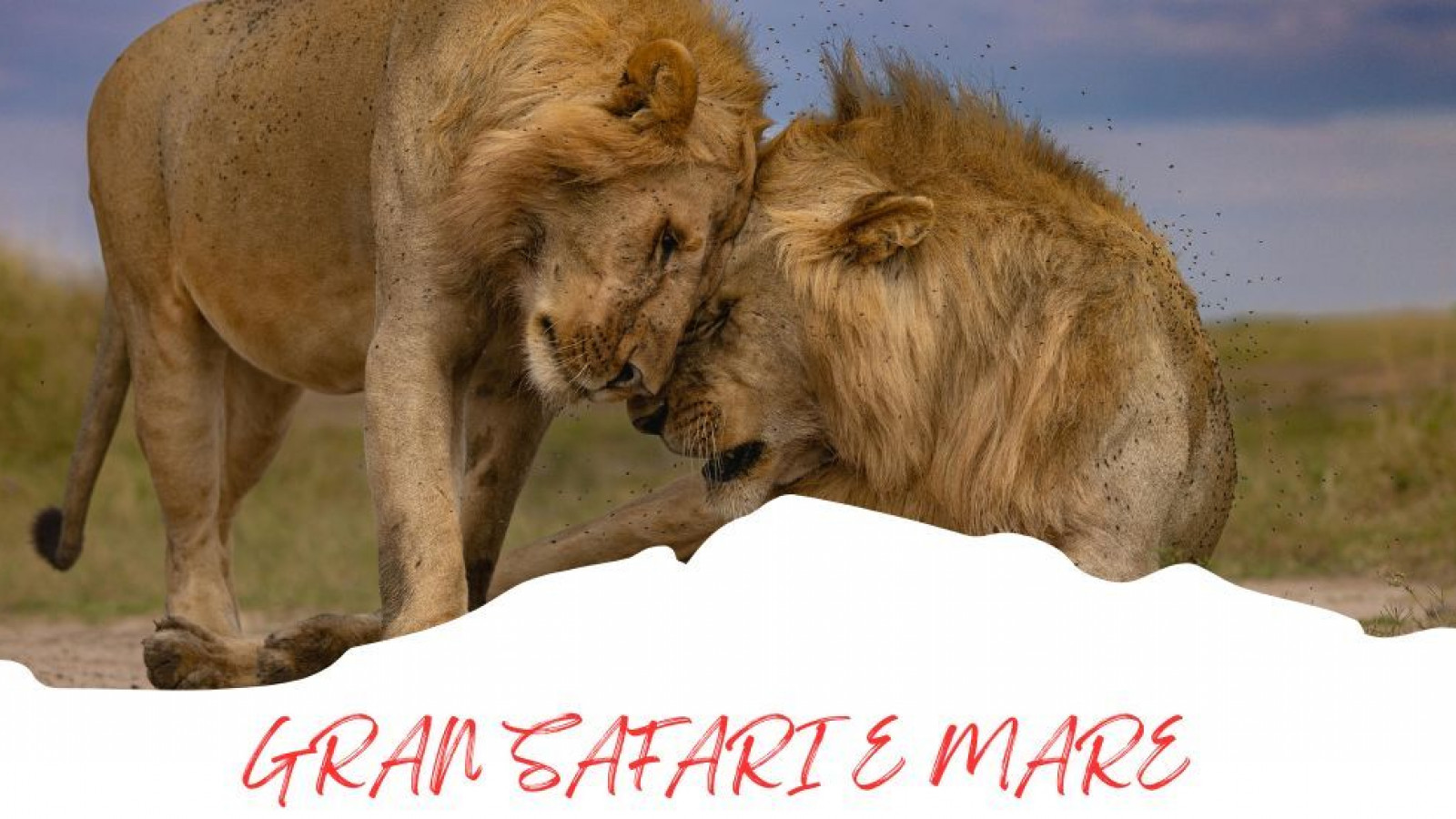 2025 africa gran safari e mare 25 IN21