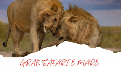 2025 africa gran safari e mare 25 IN21