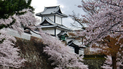 2023 W giappone japan tour 13/04 IN21