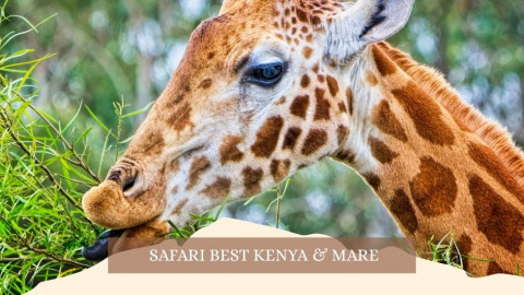 2025 africa best kenia e mare gennaio marzo 26 IN21