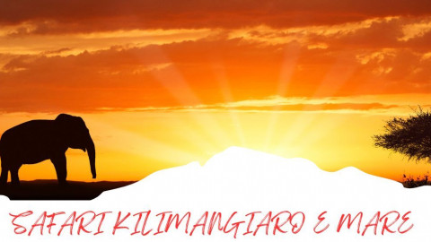 2025 africa kilimangiaro e mare 2025 IN21
