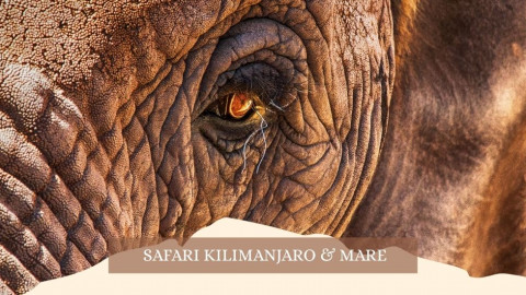 2025 africa kilimangiaro e mare gennaio marzo 2025 IN21