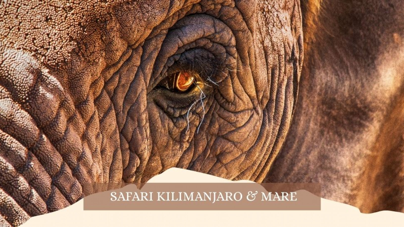 2025 africa kilimangiaro e mare gennaio marzo 2025 IN21