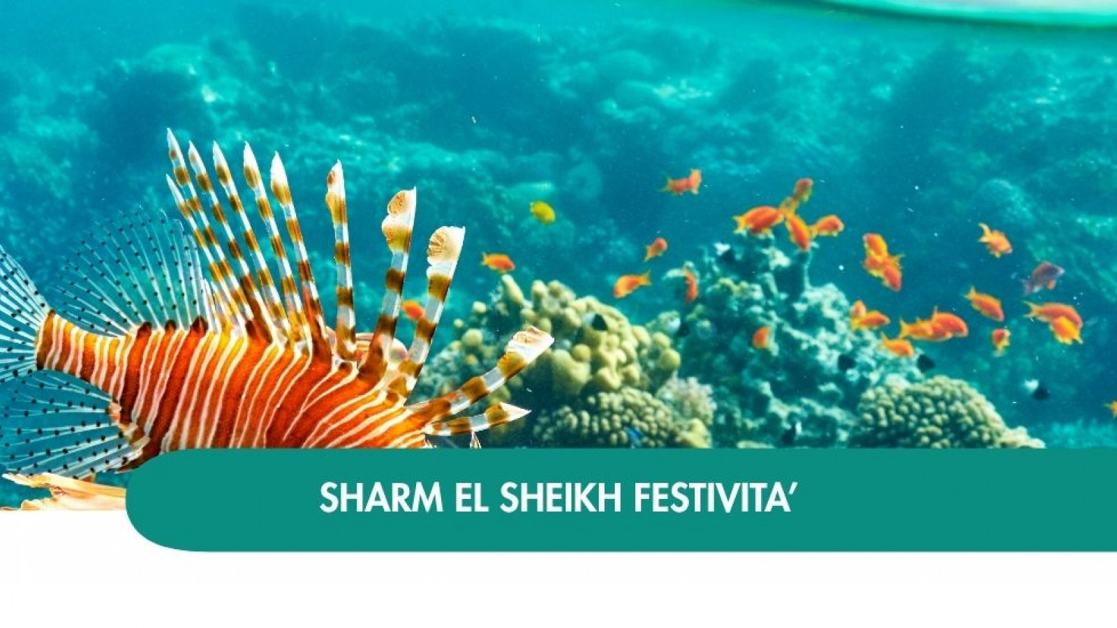 2026 sharm el sheikh queen festivita T IN21