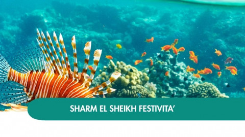 2026 sharm el sheikh queen festivita T IN21