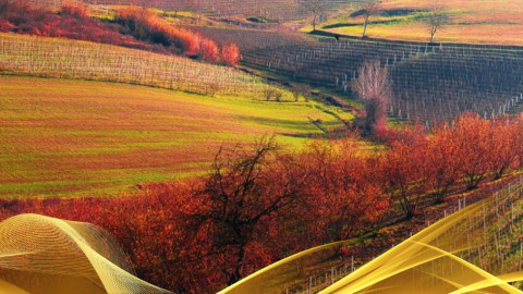 2026 W torino e le langhe 30 05 IN21