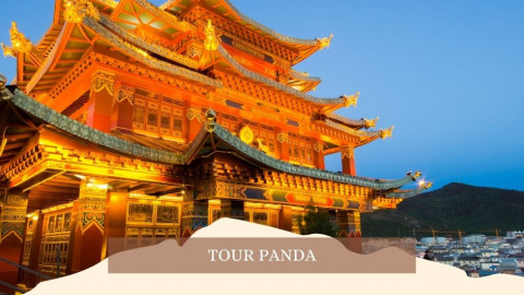 2026 cina tour panda 28 04 IN21