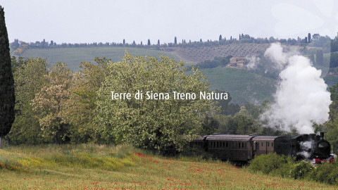 2024 W treno natura siena montepulciano 1/06 IN21