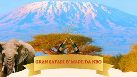 2025 africa gran safari e mare natale e capodanno IN21