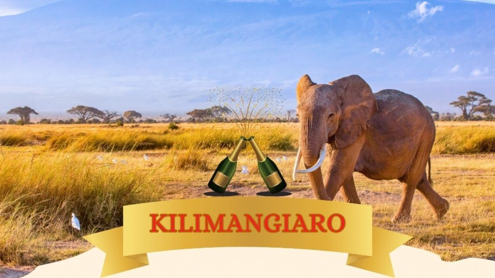 2025 africa kilimangiaro e mare natale e capodanno IN21