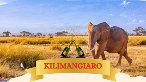 2025 africa kilimangiaro e mare natale e capodanno IN21