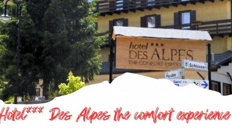 2025 trentino estate des alpes IN21