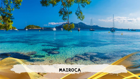 2026 maiorca 11 agosto napoli T IN21