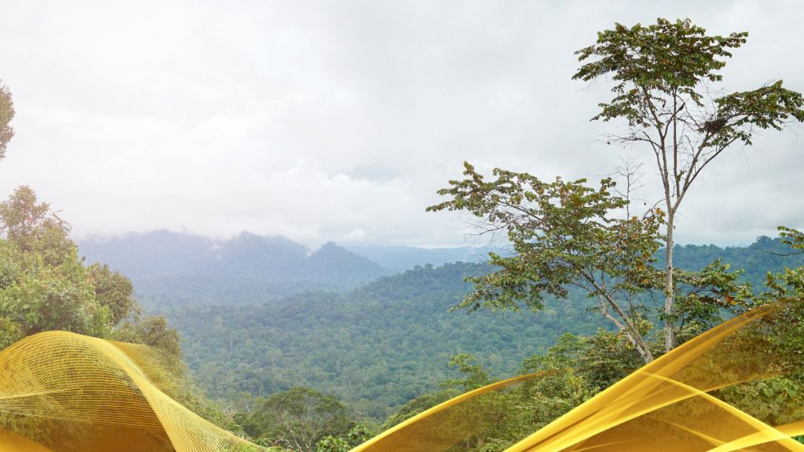 2026 malesia tour mare e altopiani 9 08 O IN21