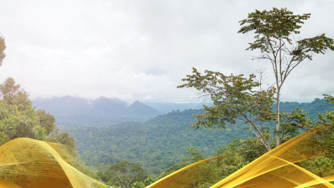 2026 malesia tour mare e altopiani 9 08 O IN21