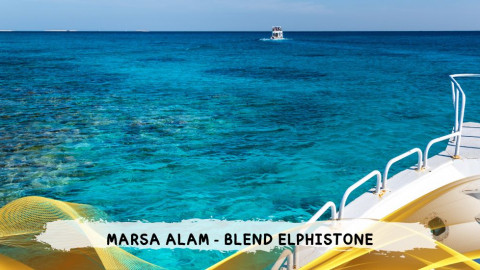 2026 marsa alam da roma blend T IN21