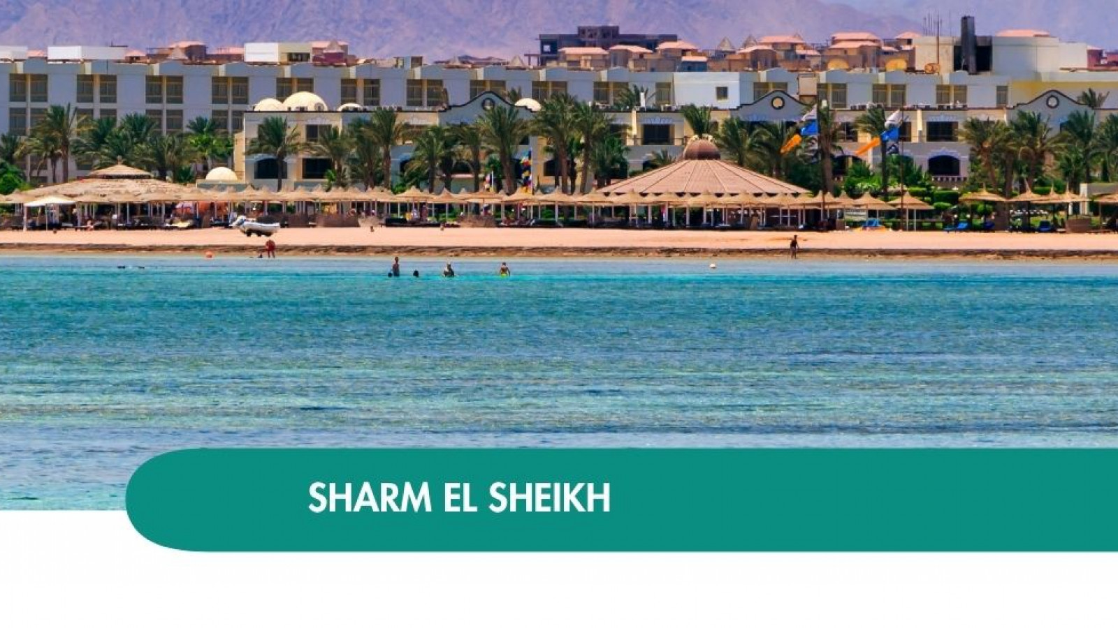 2026 sharm el sheikh queen immacolata T IN21