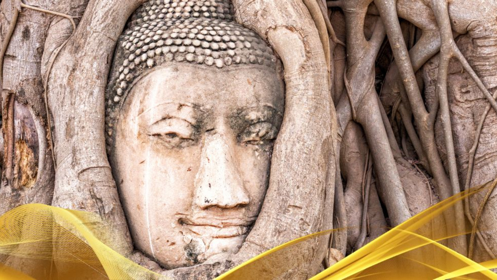 2026 thailandia antiche capitali 7 08 O IN21