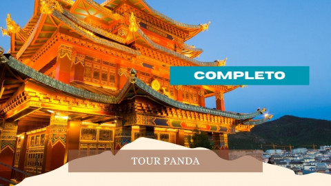 2026 cina tour panda 28 04 IN21