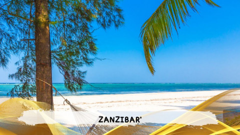 2026 zanzibar 11 08 T IN21